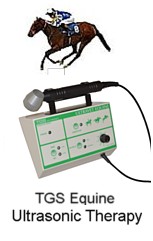 Equine Ultrasonic for treating horses and other large animals.