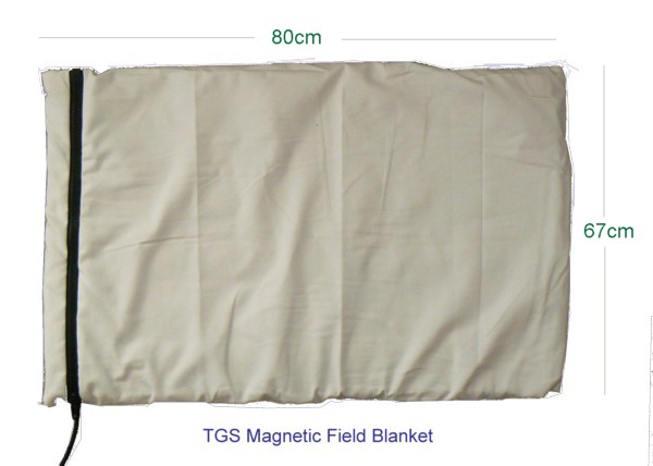 Magnetic Field Blanket