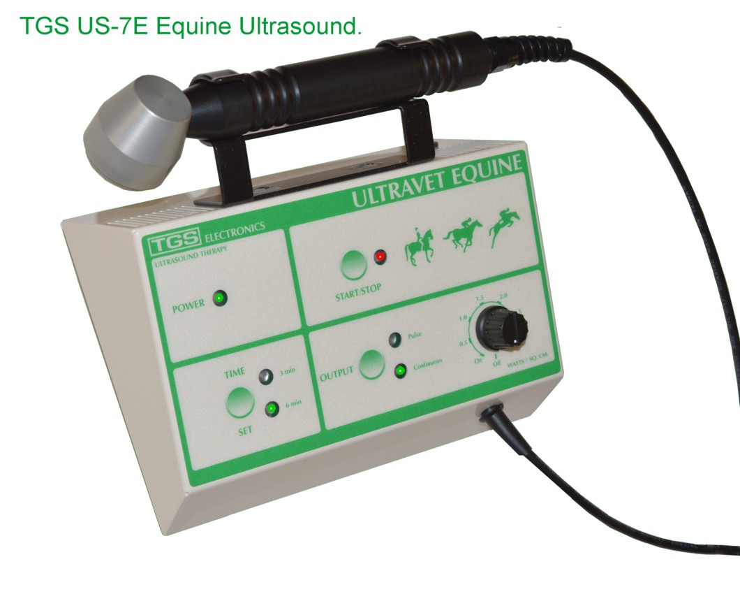 Equine ultrasonic therapy unit with the handle in the cradle